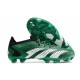 adidas Predator Accuracy.1 Low FG Verde Blanco