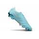 Nike Tiempo Legend 10 Elite FG Copa Plateada