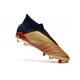 Botas adidas Predator 19+ FG para Adultos - Oro Plata Rojo