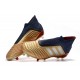 Botas adidas Predator 19+ FG para Adultos - Oro Plata Rojo