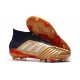 Zapatillas de Futbol adidas Predator 19.1 FG - Oro Rojo Plata