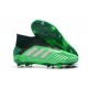 Botas adidas Predator 19+ FG para Adultos - Verde Argento