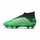 Botas adidas Predator 19+ FG para Adultos - Verde Argento