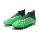 Botas adidas Predator 19+ FG para Adultos - Verde Argento