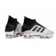 Botas adidas Predator 19+ FG para Adultos - Argento Negro