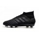 Zapatillas de Futbol adidas Predator 19.1 FG - Negro